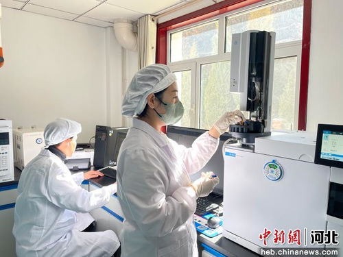 以科技創新為引擎，厚植新質生產力發展根基 河北寬城的技術開發之路